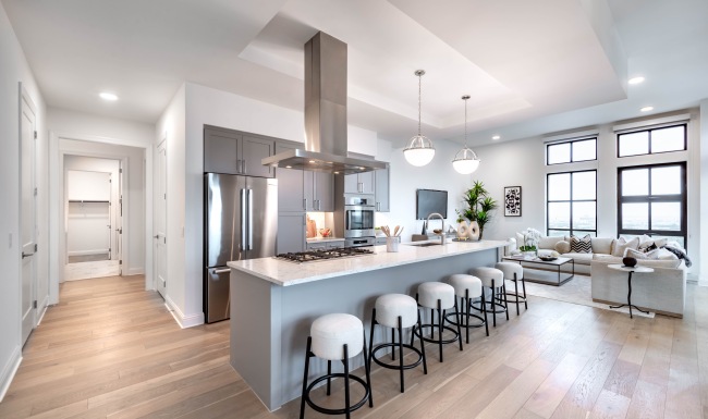Penthouse Kitchen